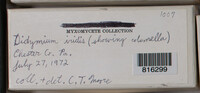 Image Associated With the Occurence